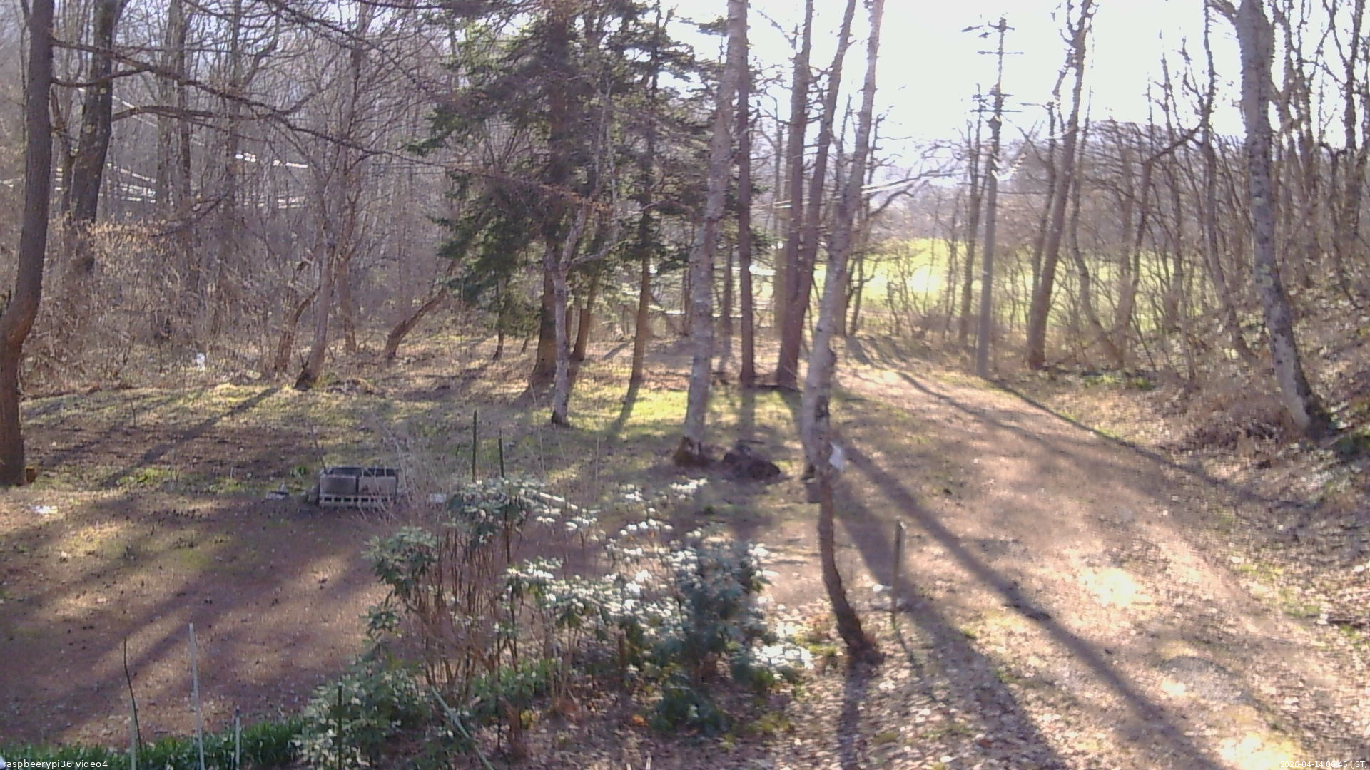 長野県菅平高原 ゆたか山荘 坂上 2026/04/14 06:45