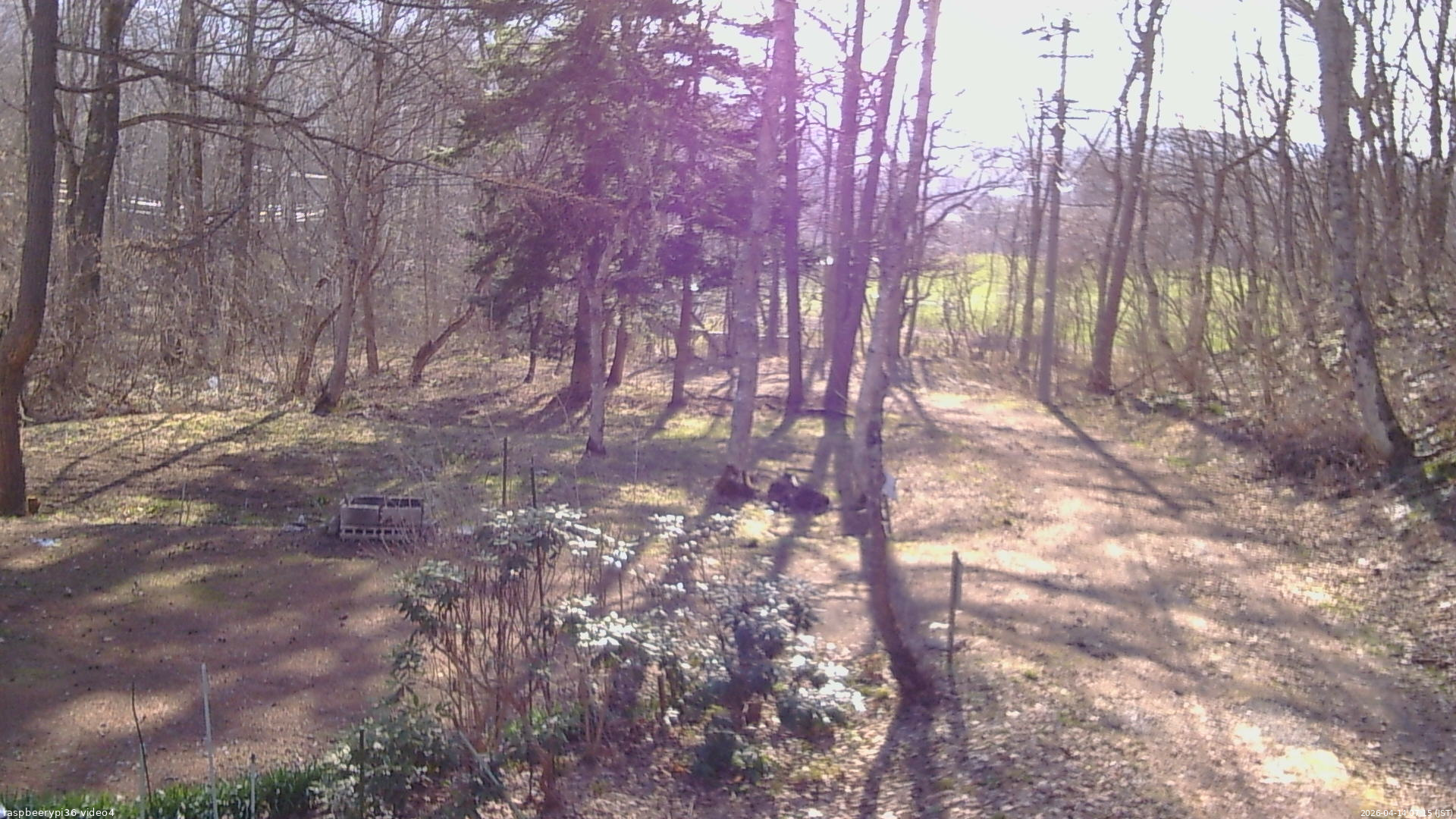 長野県菅平高原 ゆたか山荘 坂上 2026/04/14 07:15