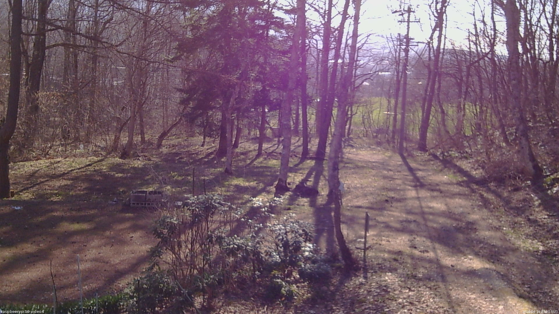 長野県菅平高原 ゆたか山荘 坂上 2026/04/14 07:30