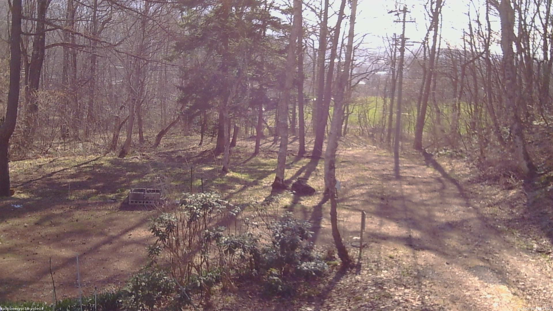 長野県菅平高原 ゆたか山荘 坂上 2026/04/14 07:45