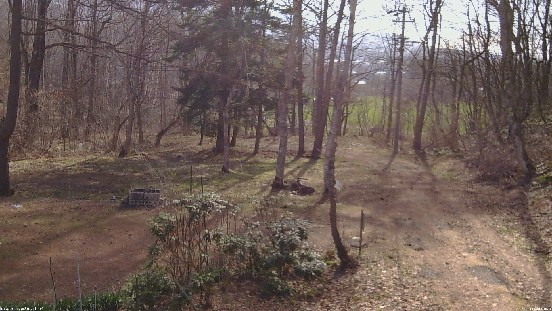 長野県菅平高原 ゆたか山荘 坂上 2026/04/14 08:00