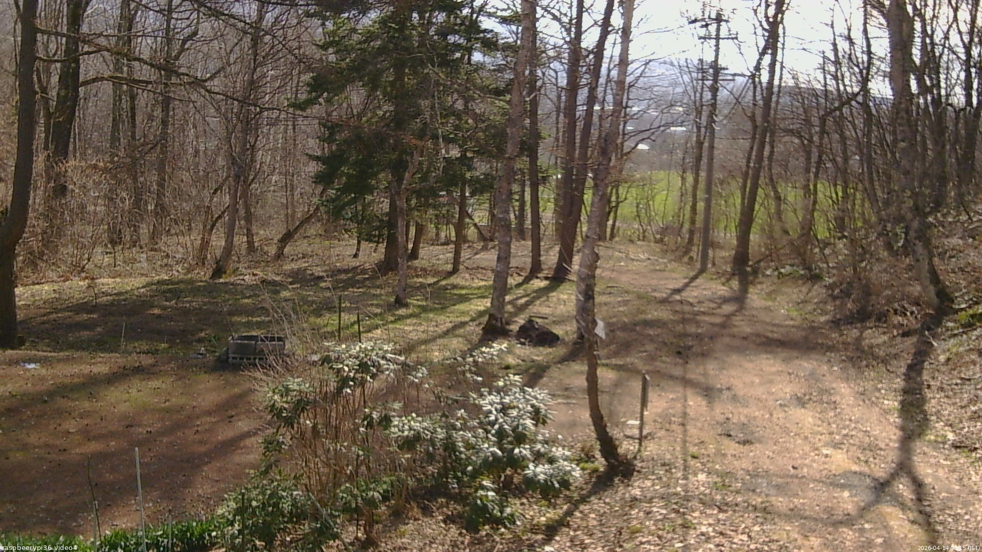 長野県菅平高原 ゆたか山荘 坂上 2026/04/14 08:15
