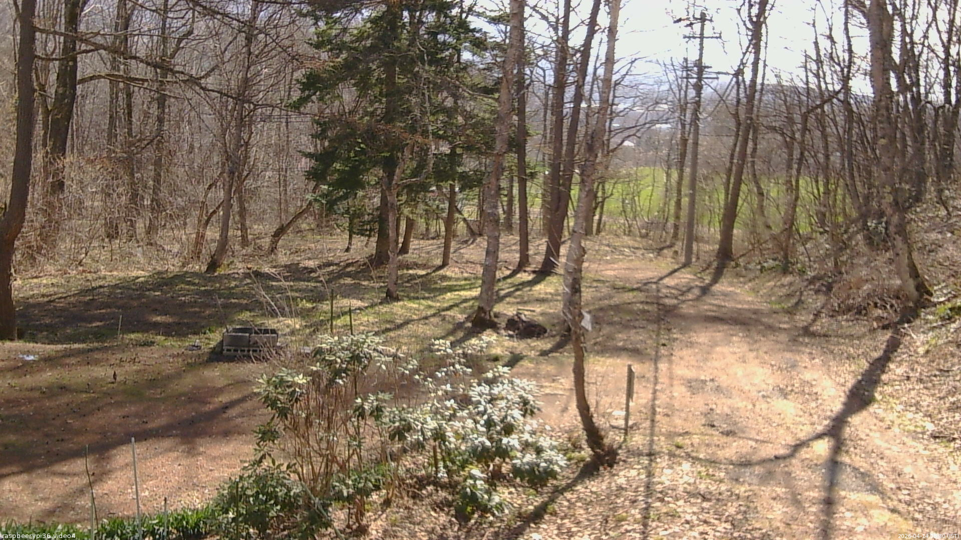 長野県菅平高原 ゆたか山荘 坂上 2026/04/14 08:30