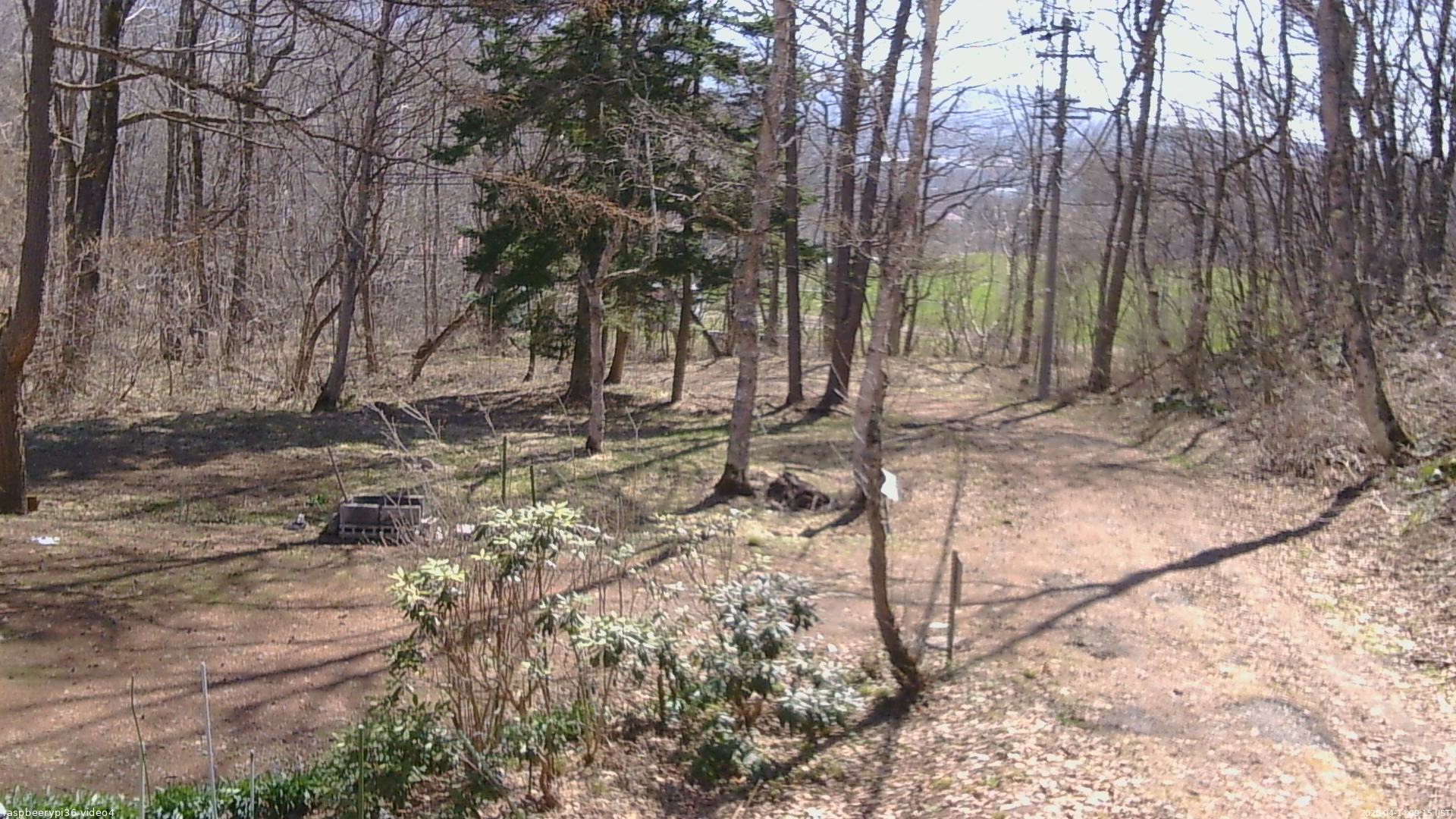 長野県菅平高原 ゆたか山荘 坂上 2026/04/14 09:15