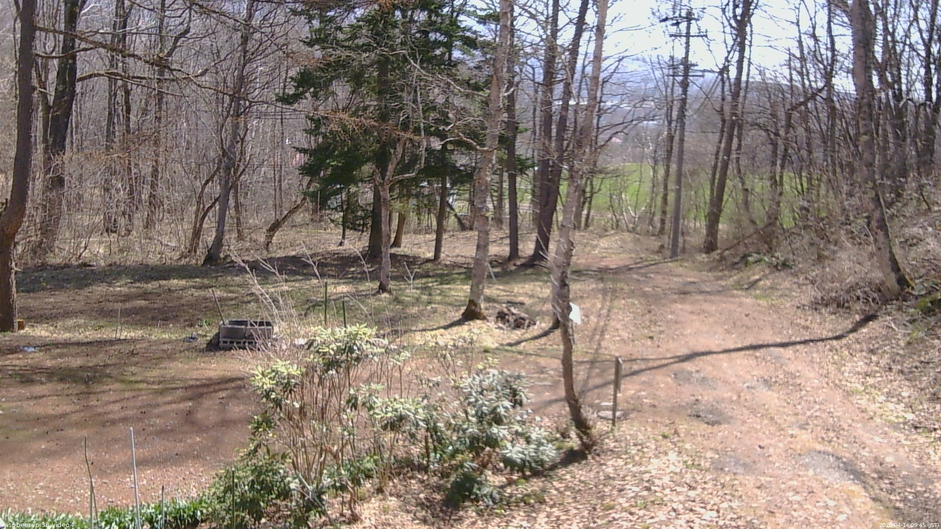 長野県菅平高原 ゆたか山荘 坂上 2026/04/14 09:45