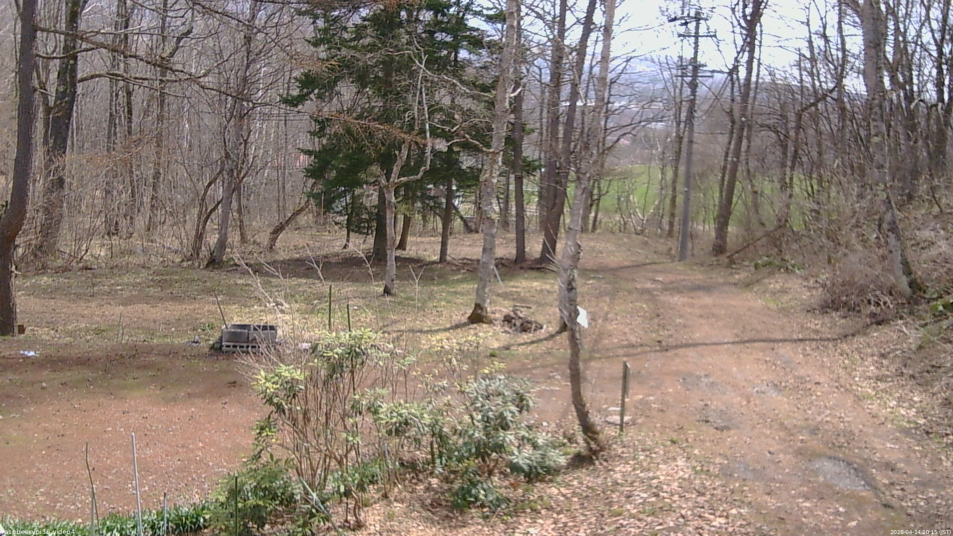 長野県菅平高原 ゆたか山荘 坂上 2026/04/14 10:15