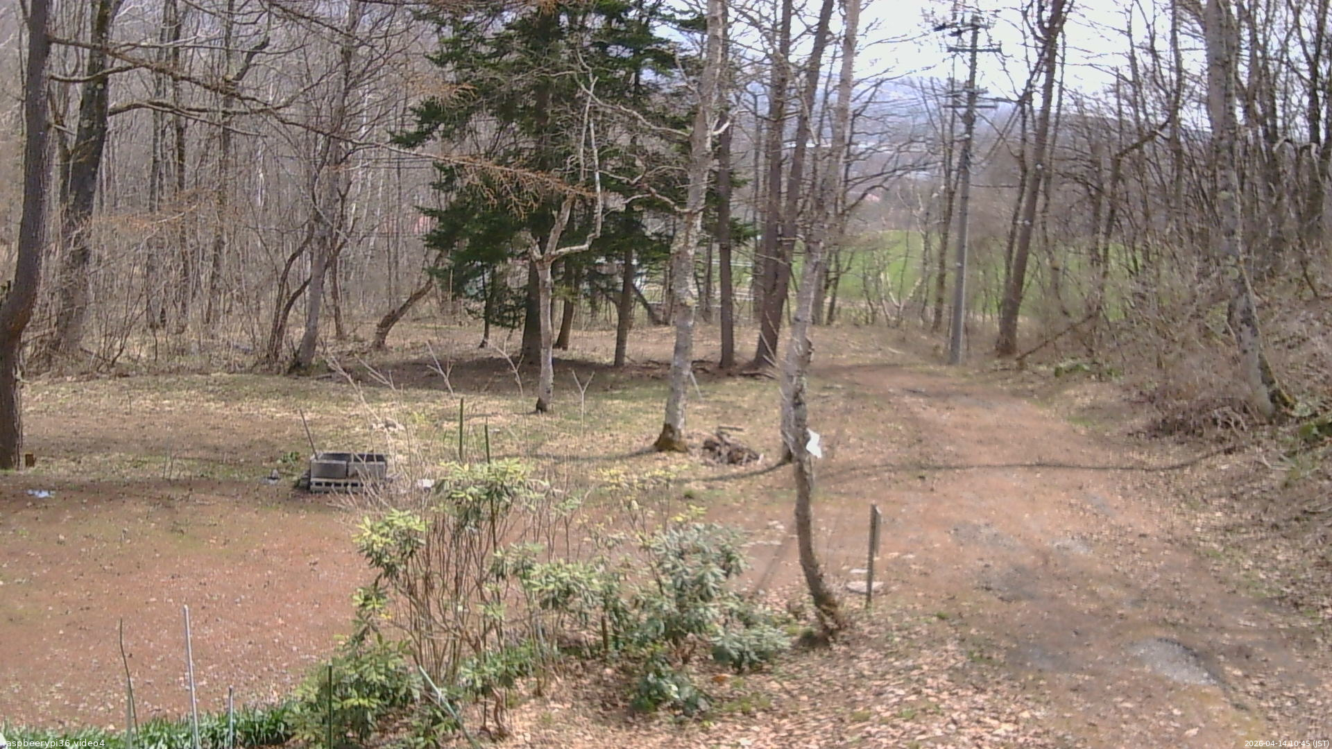 長野県菅平高原 ゆたか山荘 坂上 2026/04/14 10:45