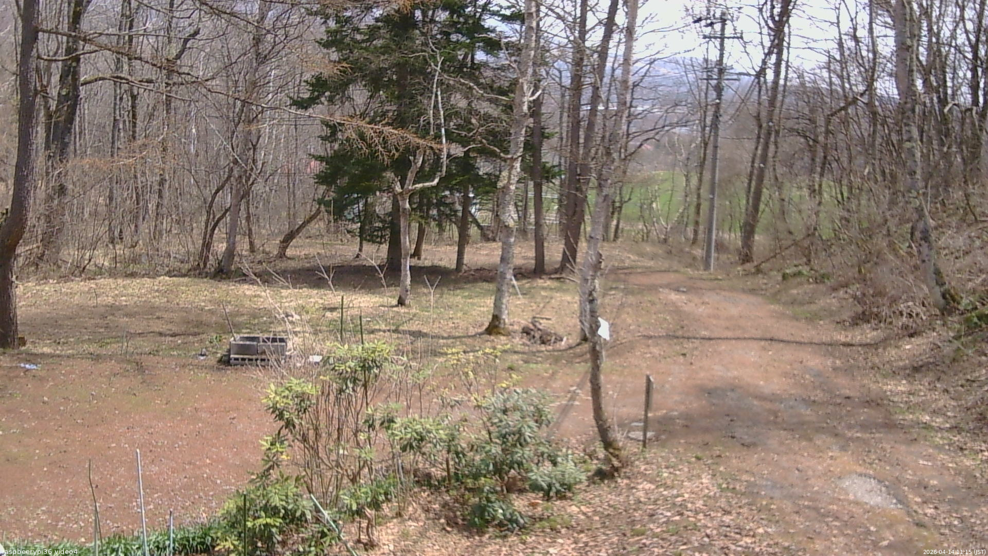 長野県菅平高原 ゆたか山荘 坂上 2026/04/14 11:15