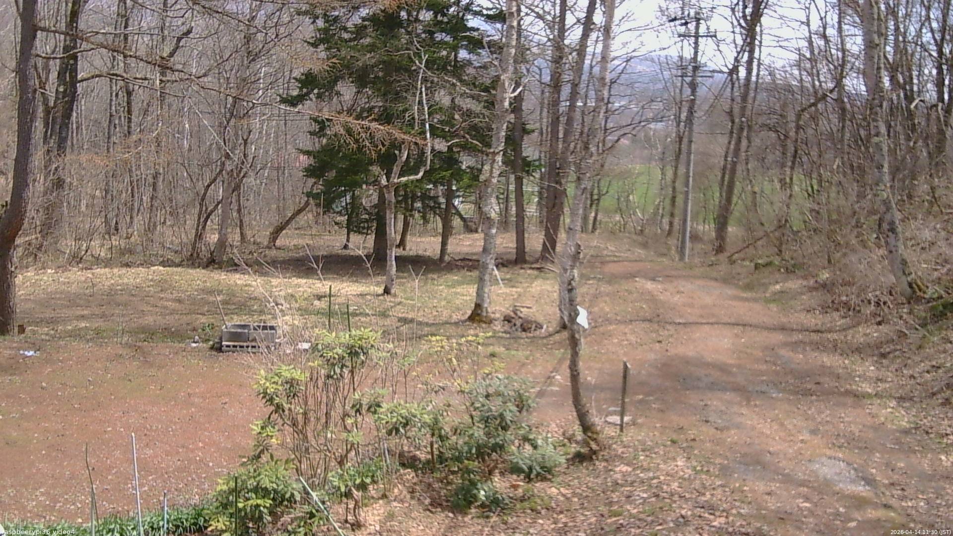 長野県菅平高原 ゆたか山荘 坂上 2026/04/14 11:30