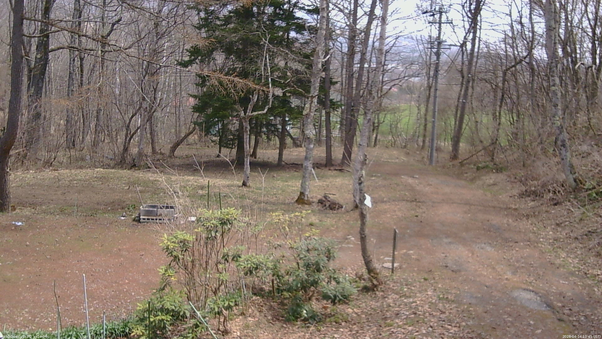 長野県菅平高原 ゆたか山荘 坂上 2026/04/14 11:45