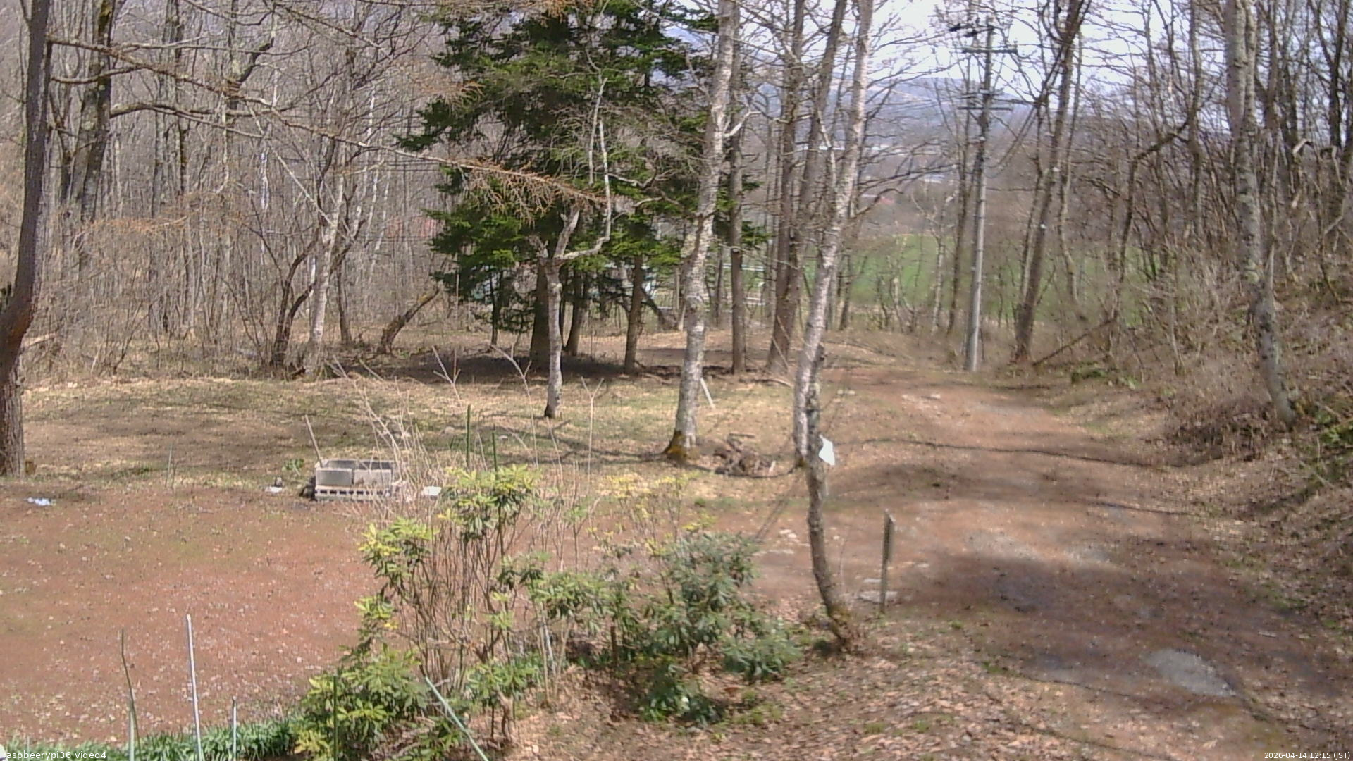 長野県菅平高原 ゆたか山荘 坂上 2026/04/14 12:15