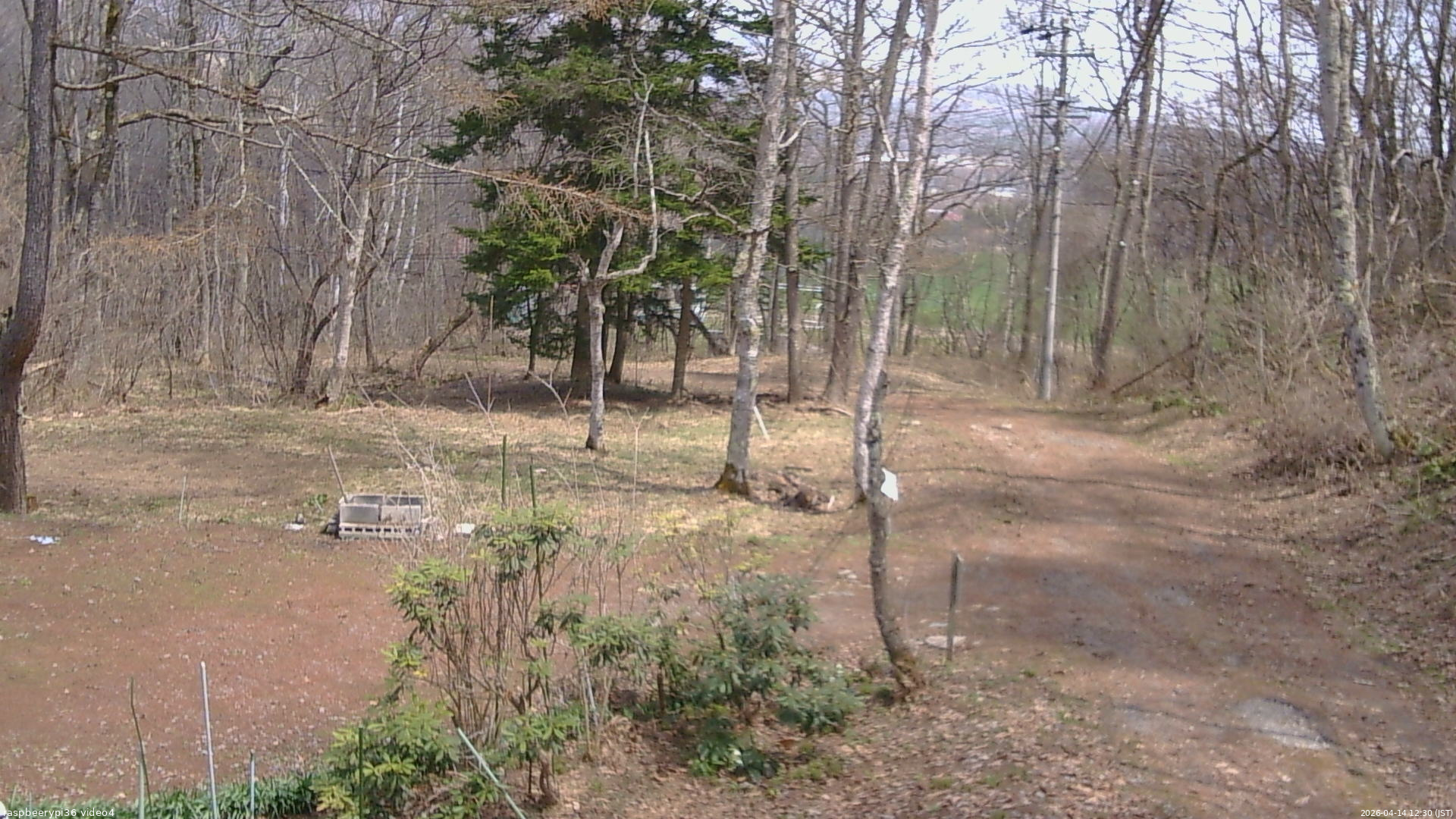 長野県菅平高原 ゆたか山荘 坂上 2026/04/14 12:30