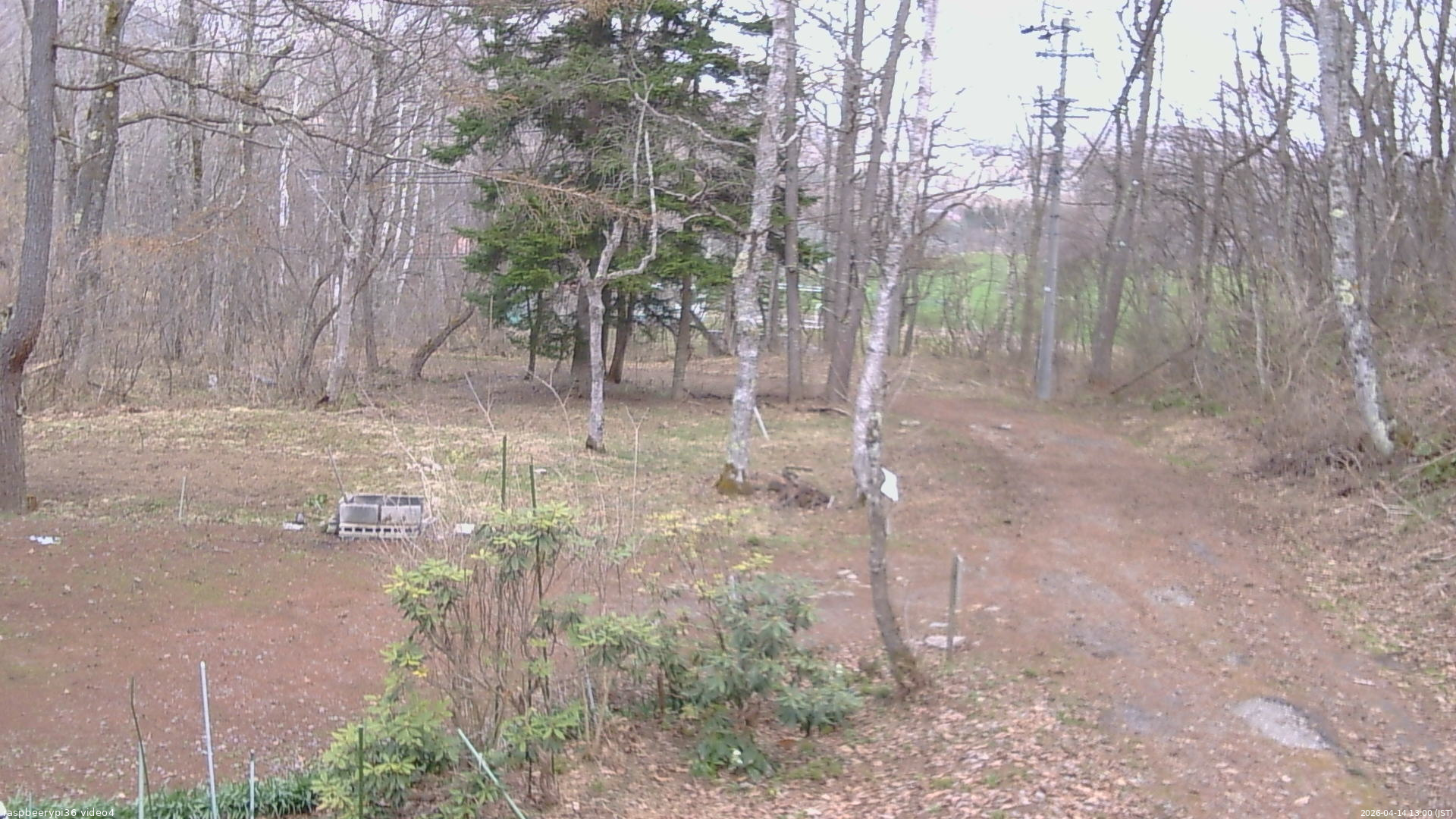 長野県菅平高原 ゆたか山荘 坂上 2026/04/14 13:00