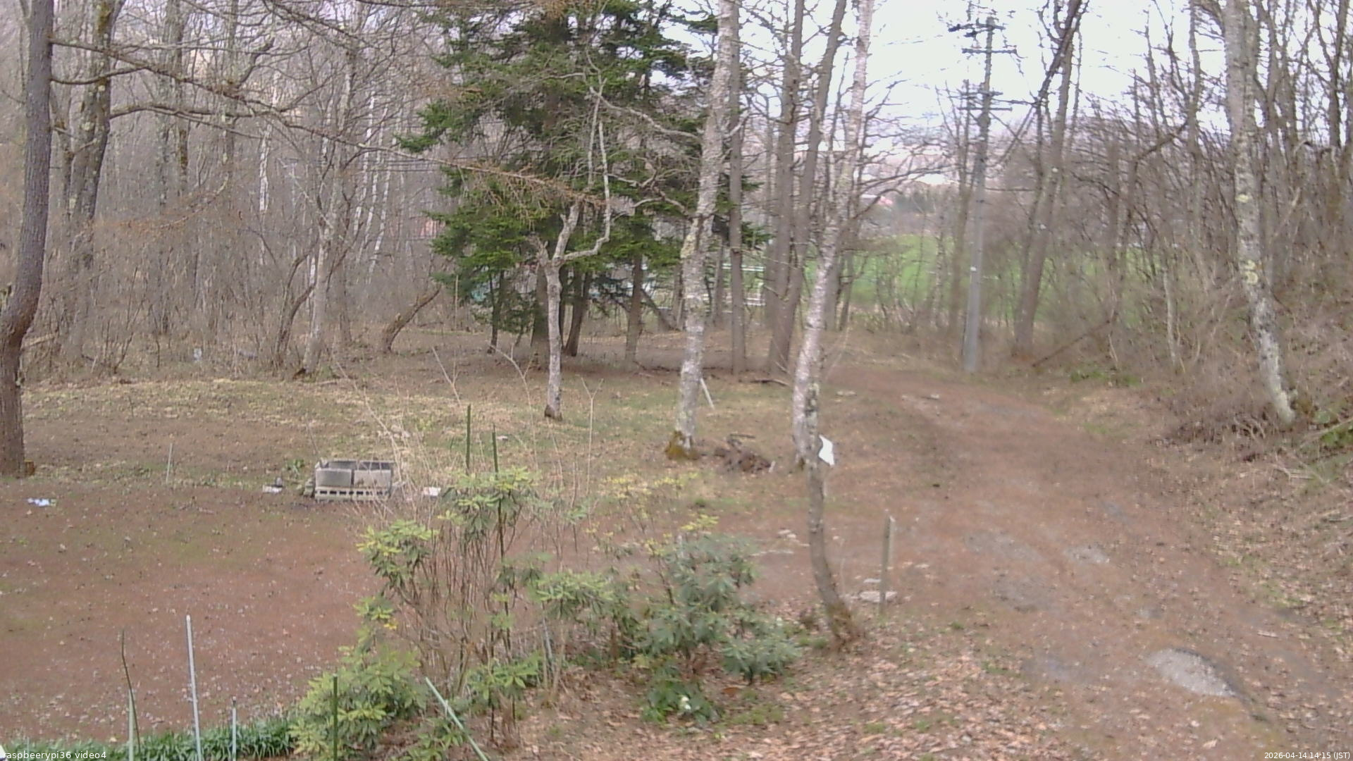長野県菅平高原 ゆたか山荘 坂上 2026/04/14 14:15