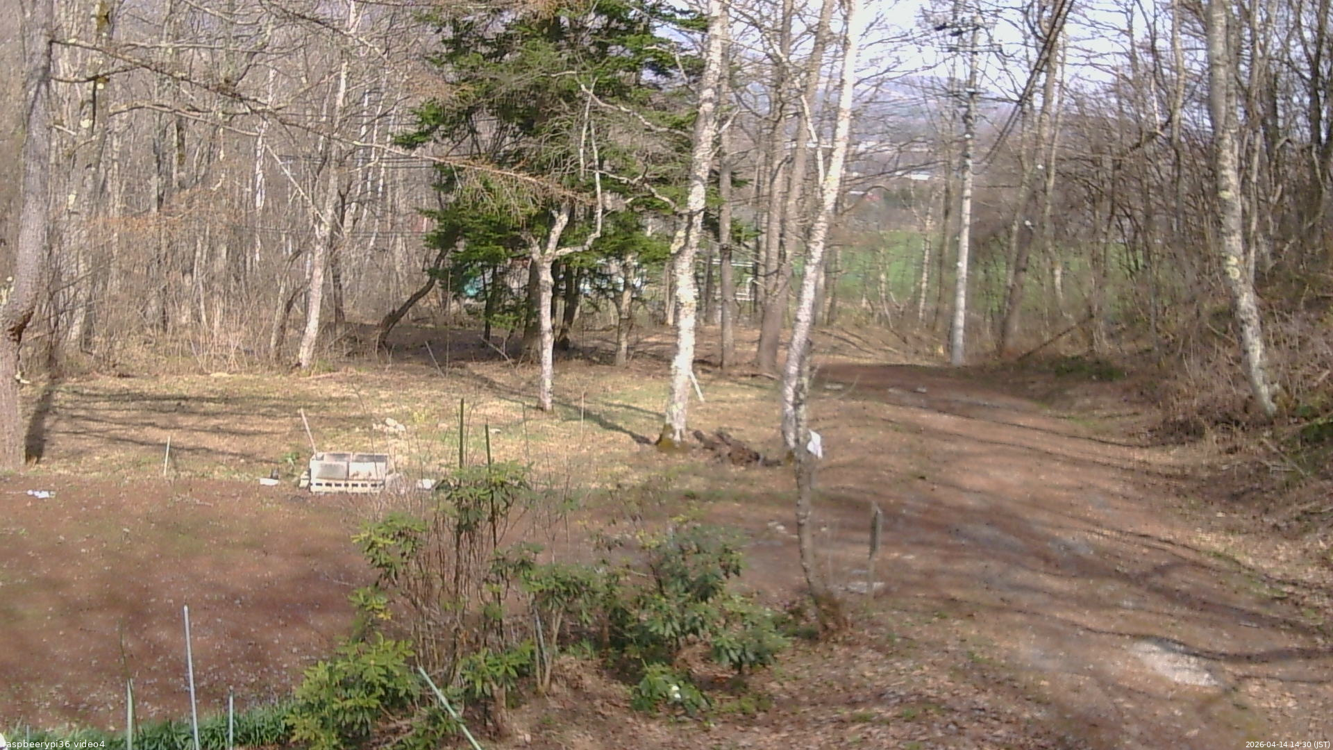 長野県菅平高原 ゆたか山荘 坂上 2026/04/14 14:30