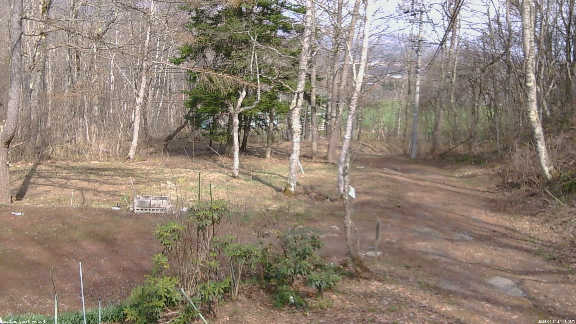 長野県菅平高原 ゆたか山荘 坂上 2026/04/14 14:45