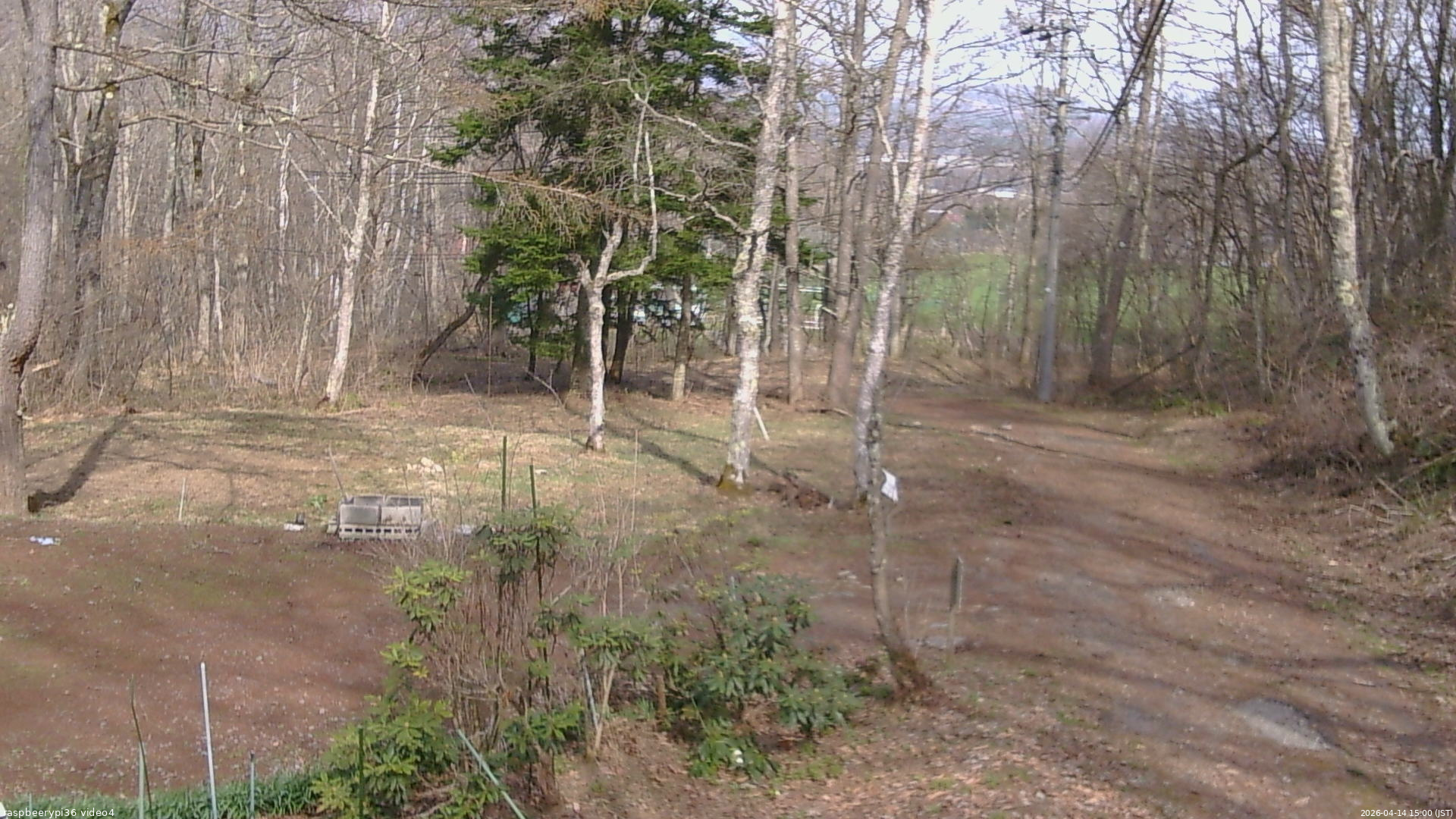 長野県菅平高原 ゆたか山荘 坂上 2026/04/14 15:00