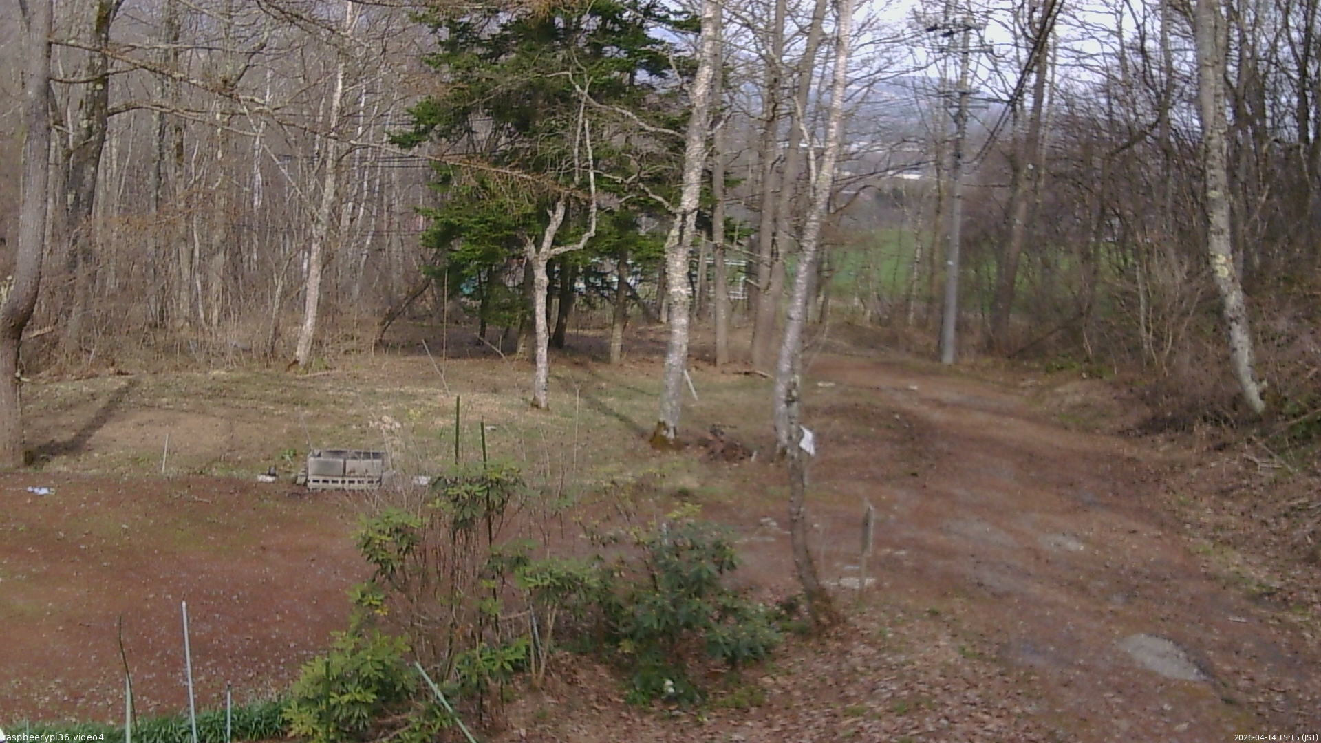 長野県菅平高原 ゆたか山荘 坂上 2026/04/14 15:15