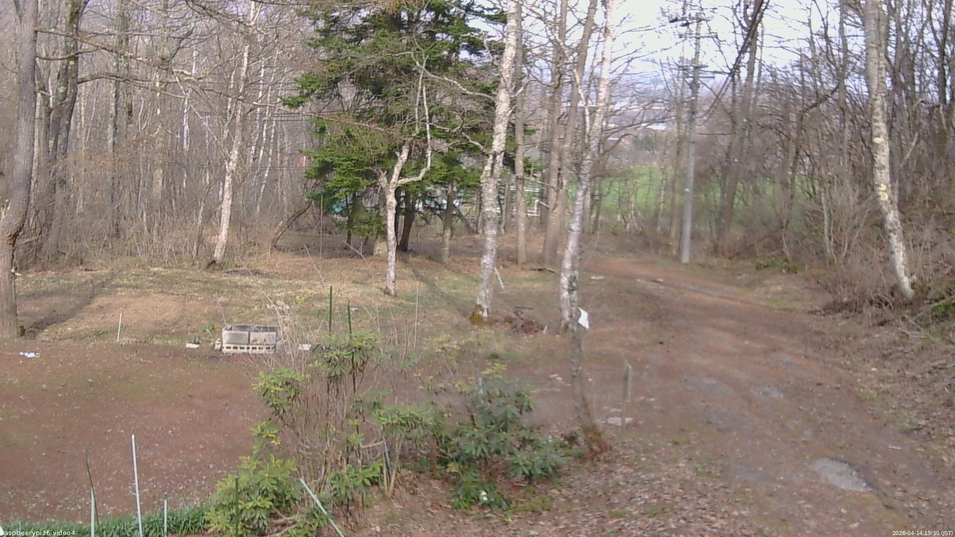 長野県菅平高原 ゆたか山荘 坂上 2026/04/14 15:30