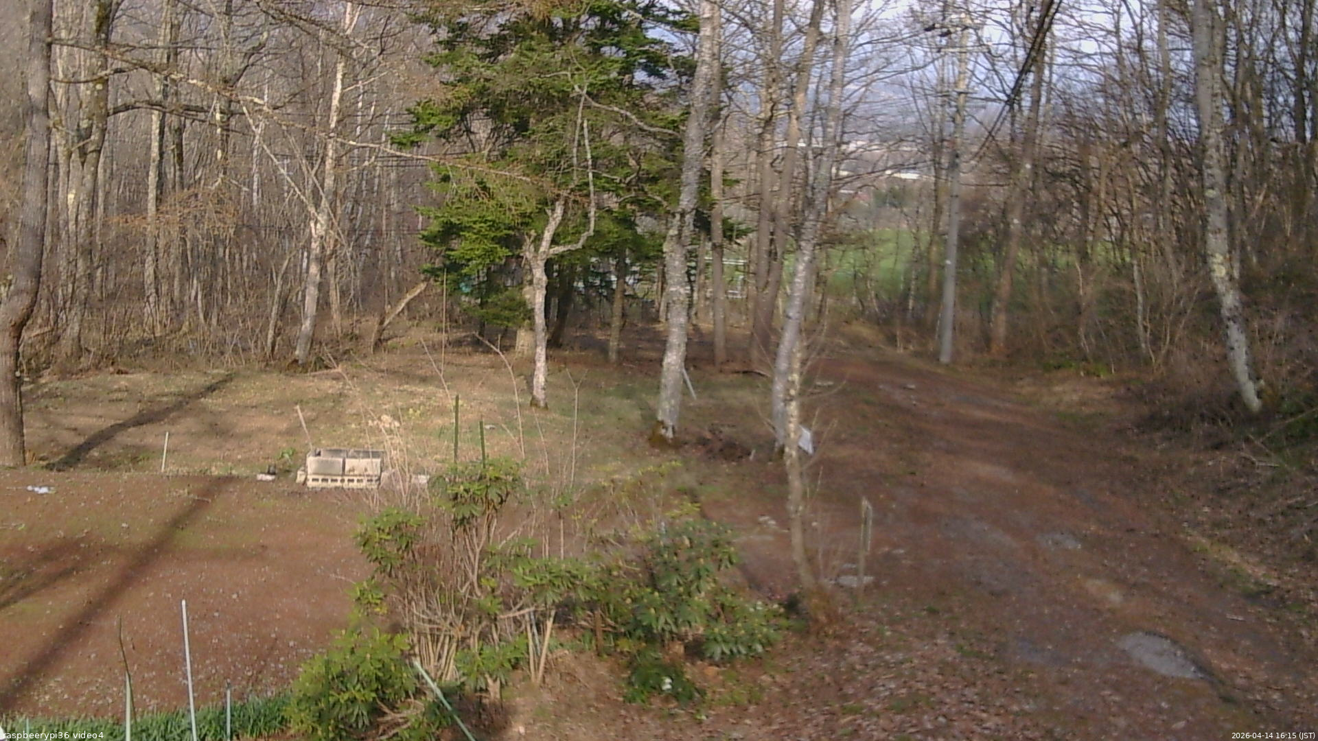 長野県菅平高原 ゆたか山荘 坂上 2026/04/14 16:15