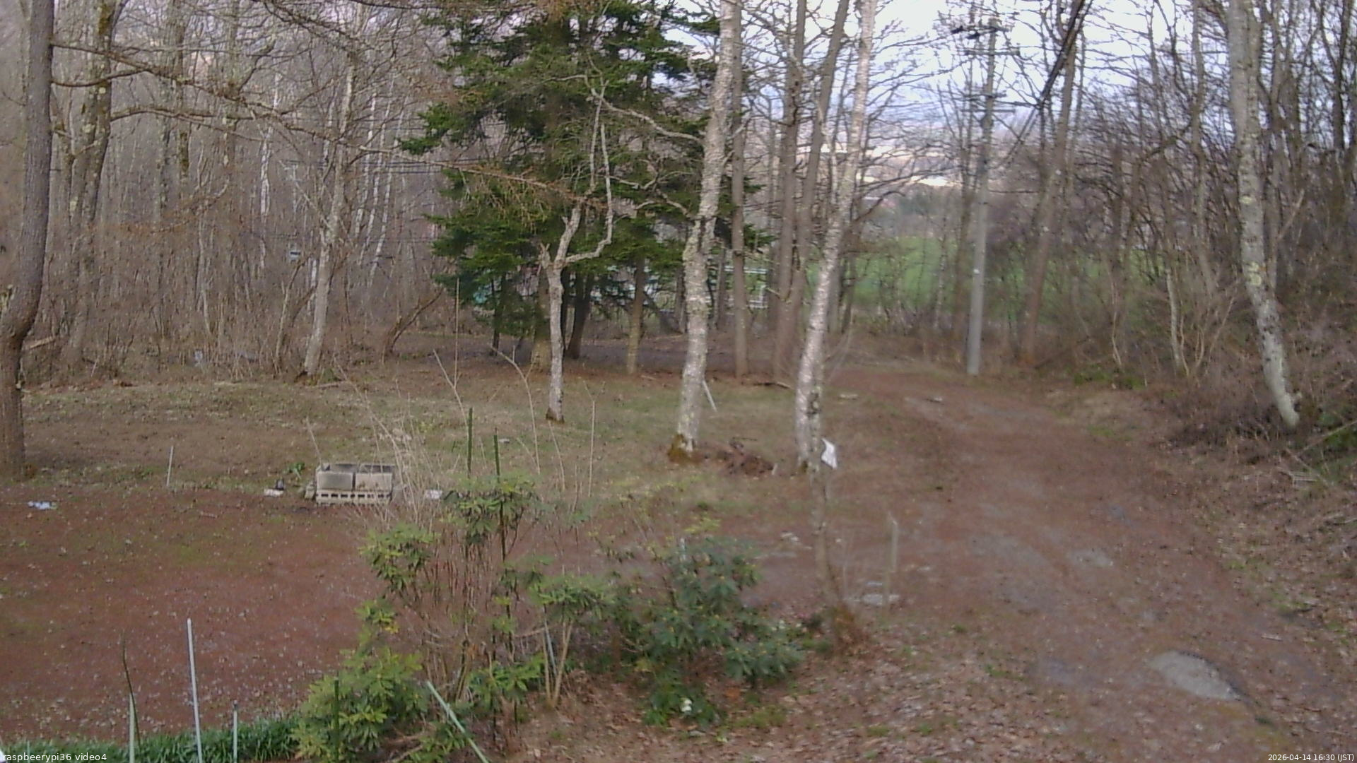 長野県菅平高原 ゆたか山荘 坂上 2026/04/14 16:30