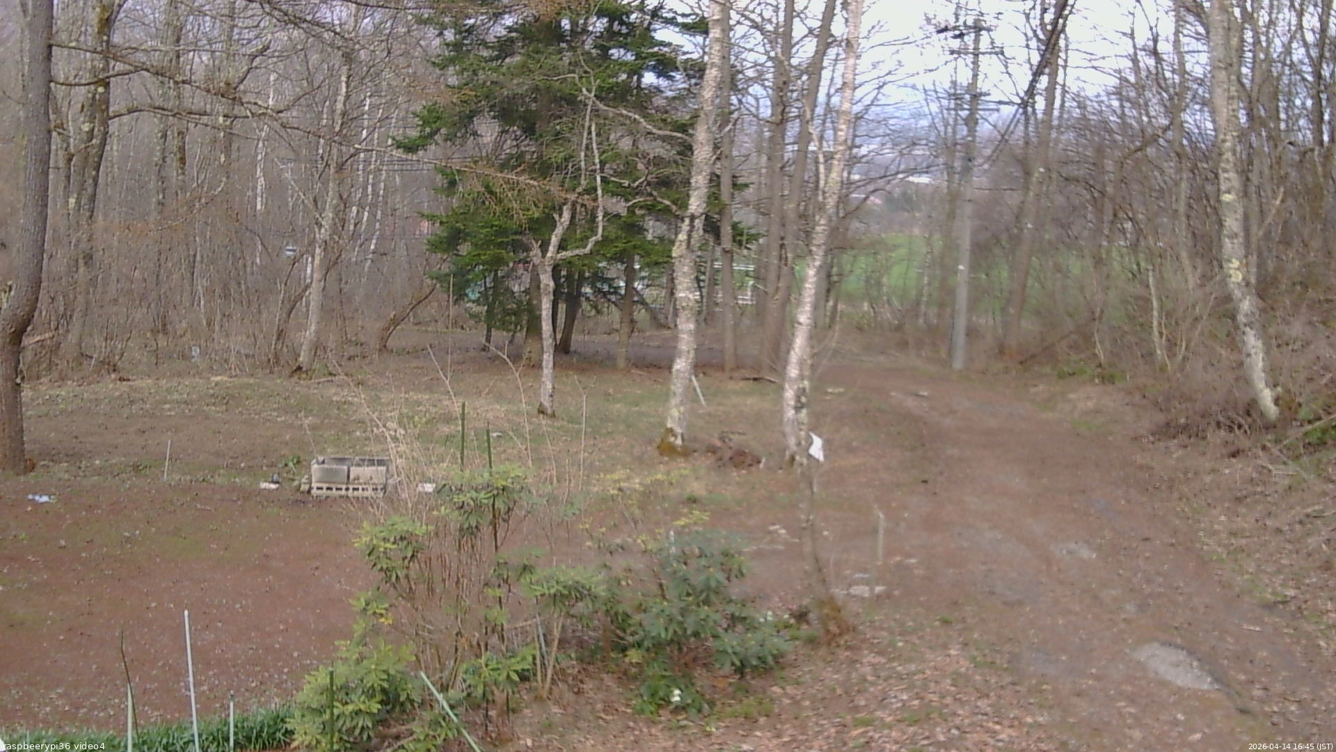 長野県菅平高原 ゆたか山荘 坂上 2026/04/14 16:45