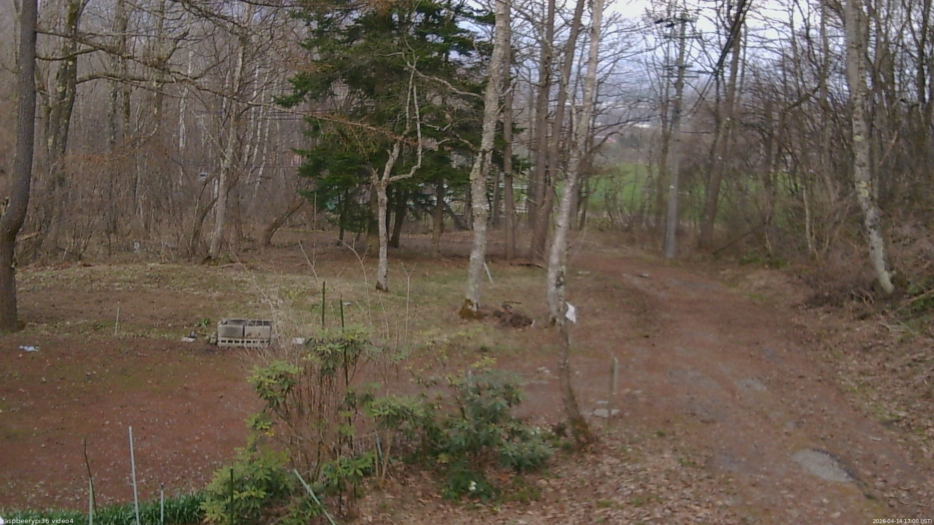 長野県菅平高原 ゆたか山荘 坂上 2026/04/14 17:00