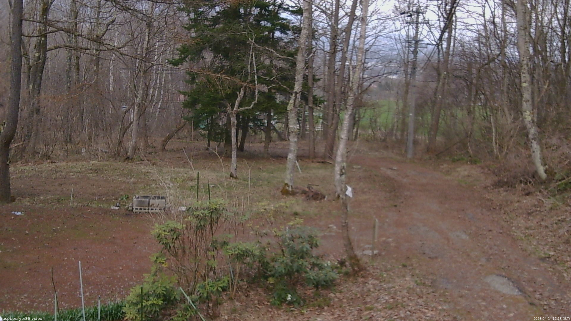 長野県菅平高原 ゆたか山荘 坂上 2026/04/14 17:15