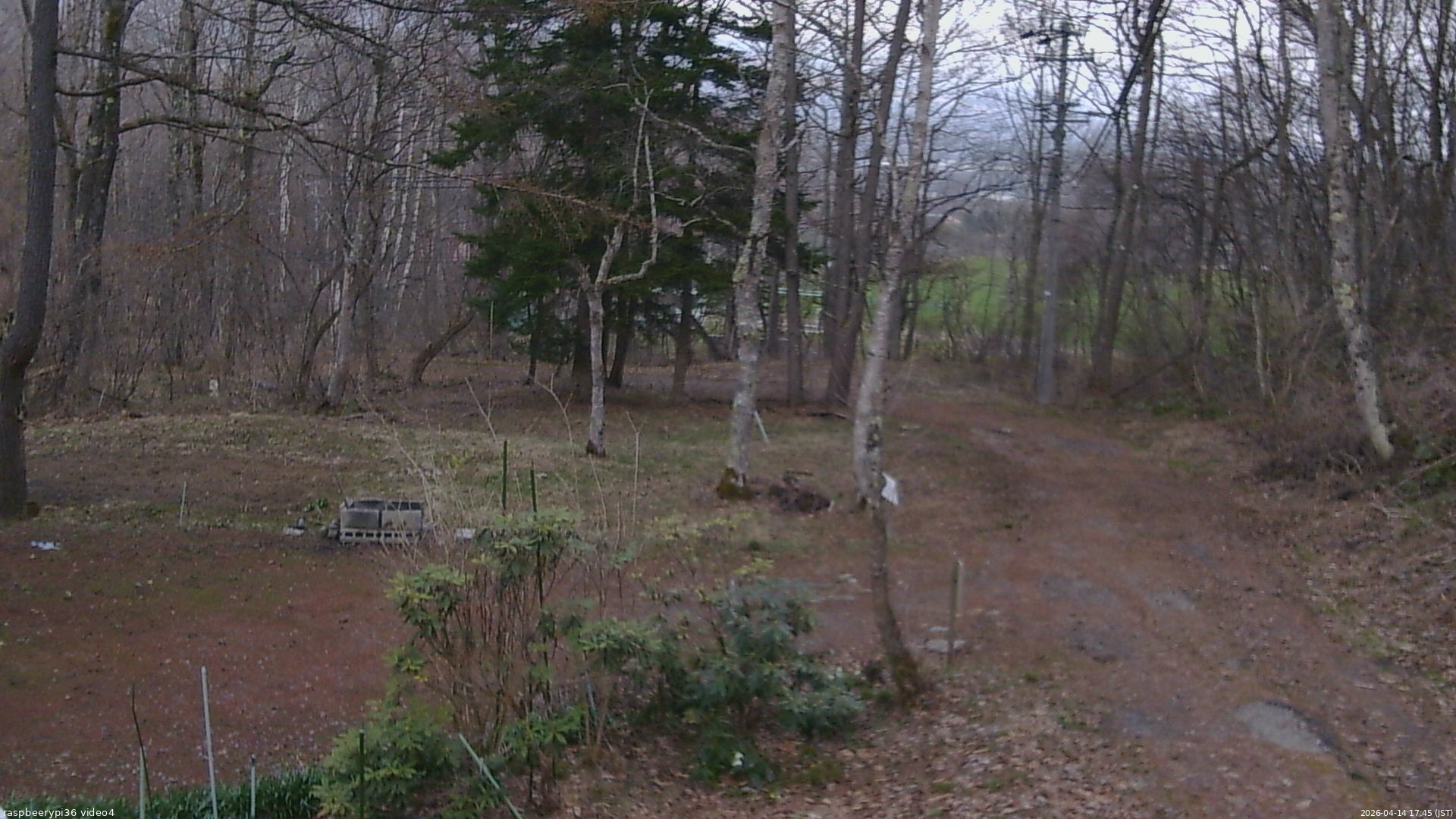 長野県菅平高原 ゆたか山荘 坂上 2026/04/14 17:45