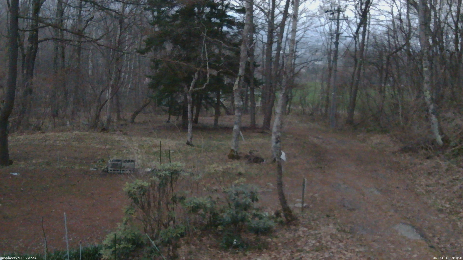長野県菅平高原 ゆたか山荘 坂上 2026/04/14 18:30