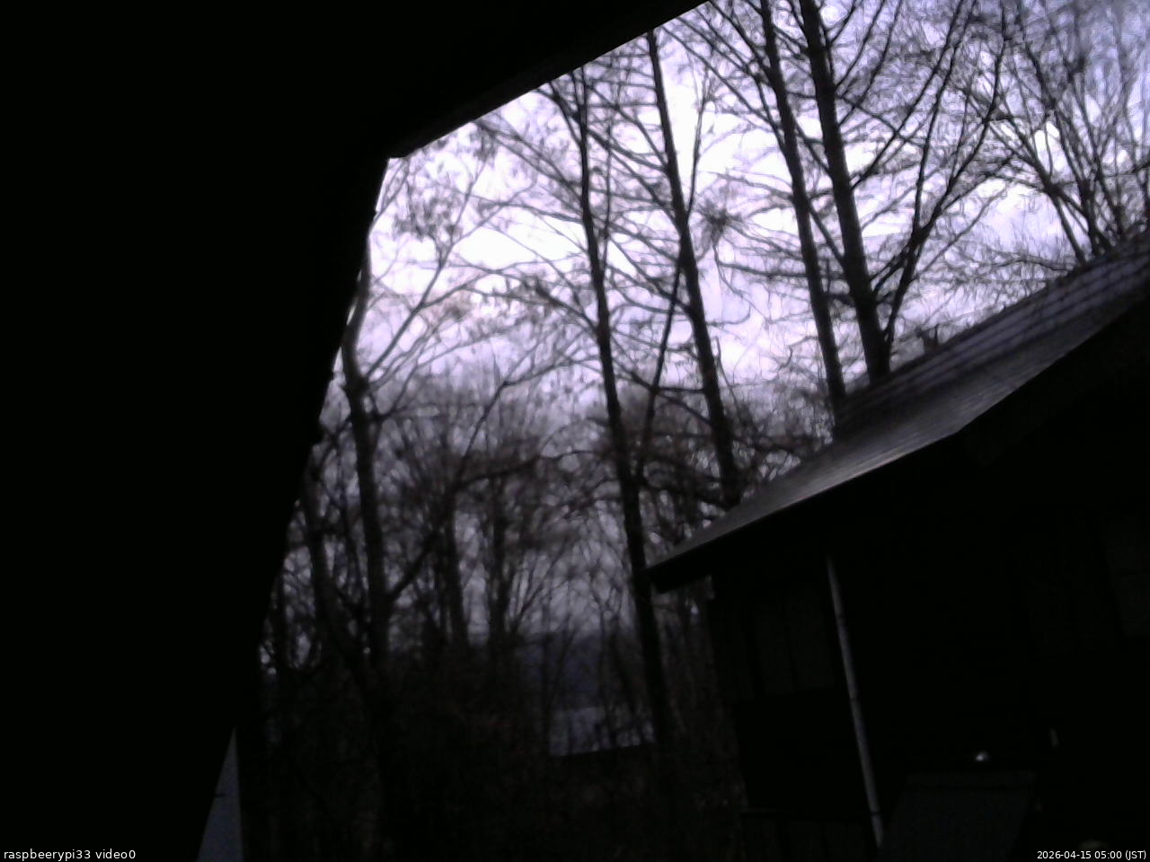 長野県菅平高原 ゆたか山荘 北側 2026/04/15 05:00