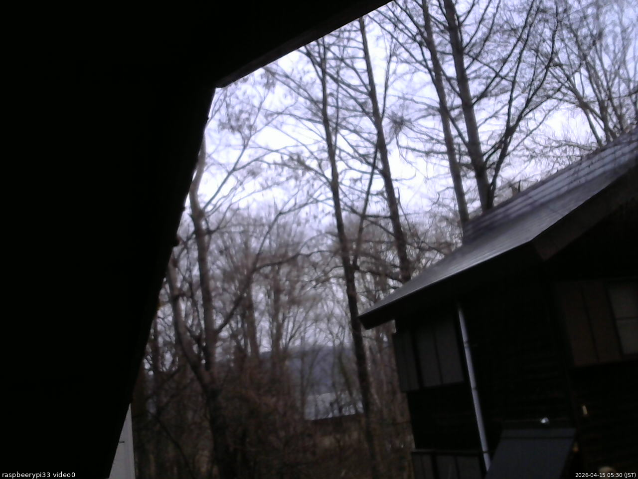 長野県菅平高原 ゆたか山荘 北側 2026/04/15 05:30