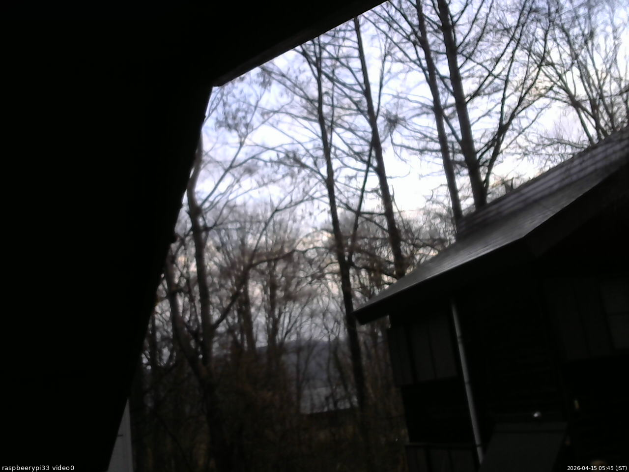 長野県菅平高原 ゆたか山荘 北側 2026/04/15 05:45