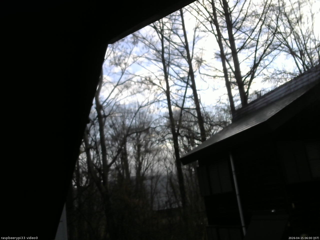 長野県菅平高原 ゆたか山荘 北側 2026/04/15 06:00