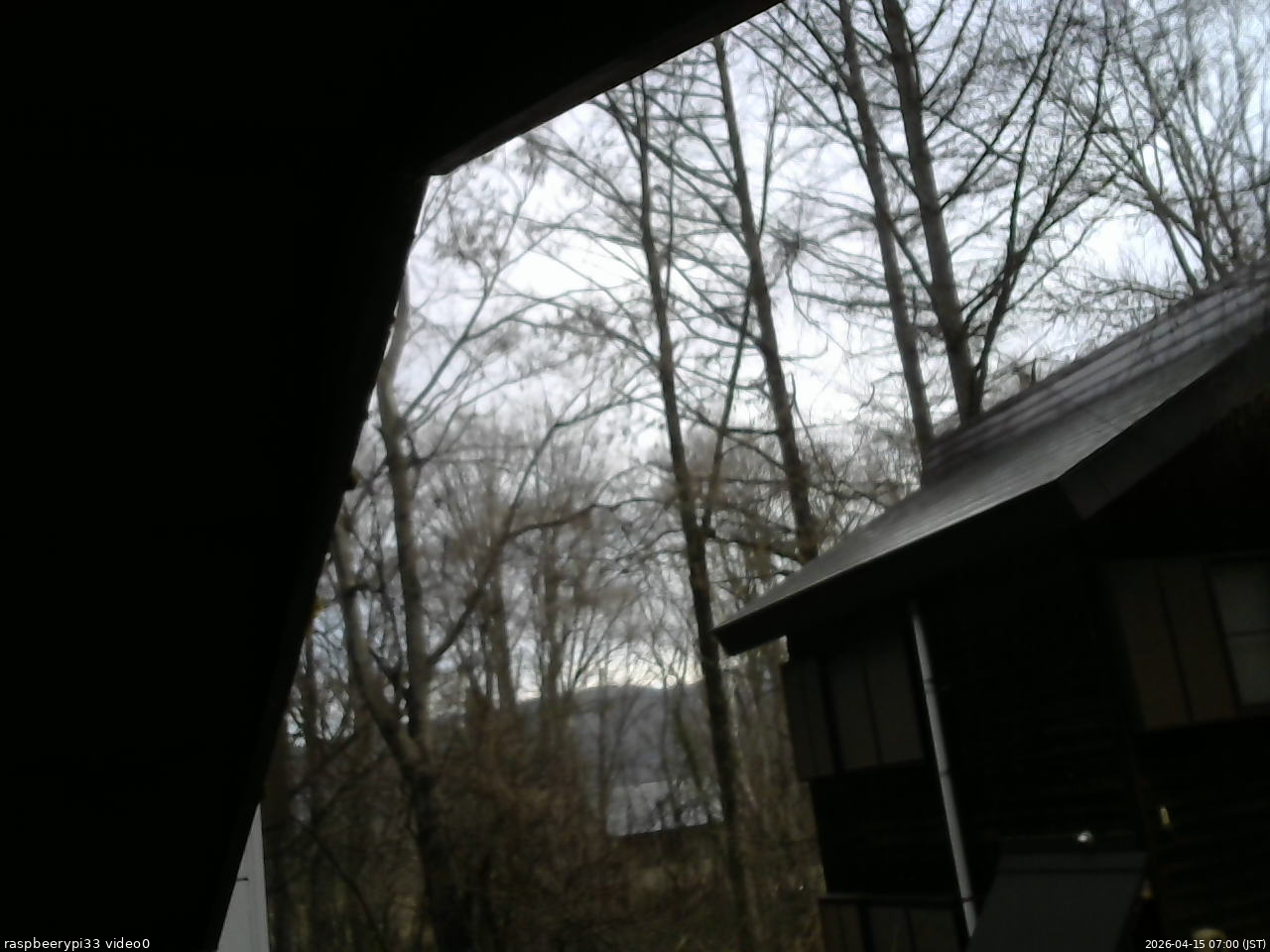 長野県菅平高原 ゆたか山荘 北側 2026/04/15 07:00