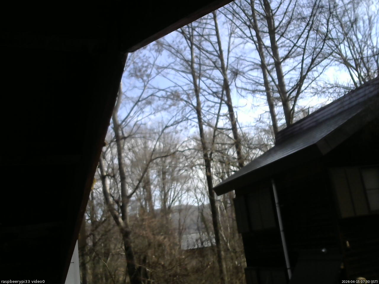 長野県菅平高原 ゆたか山荘 北側 2026/04/15 07:30