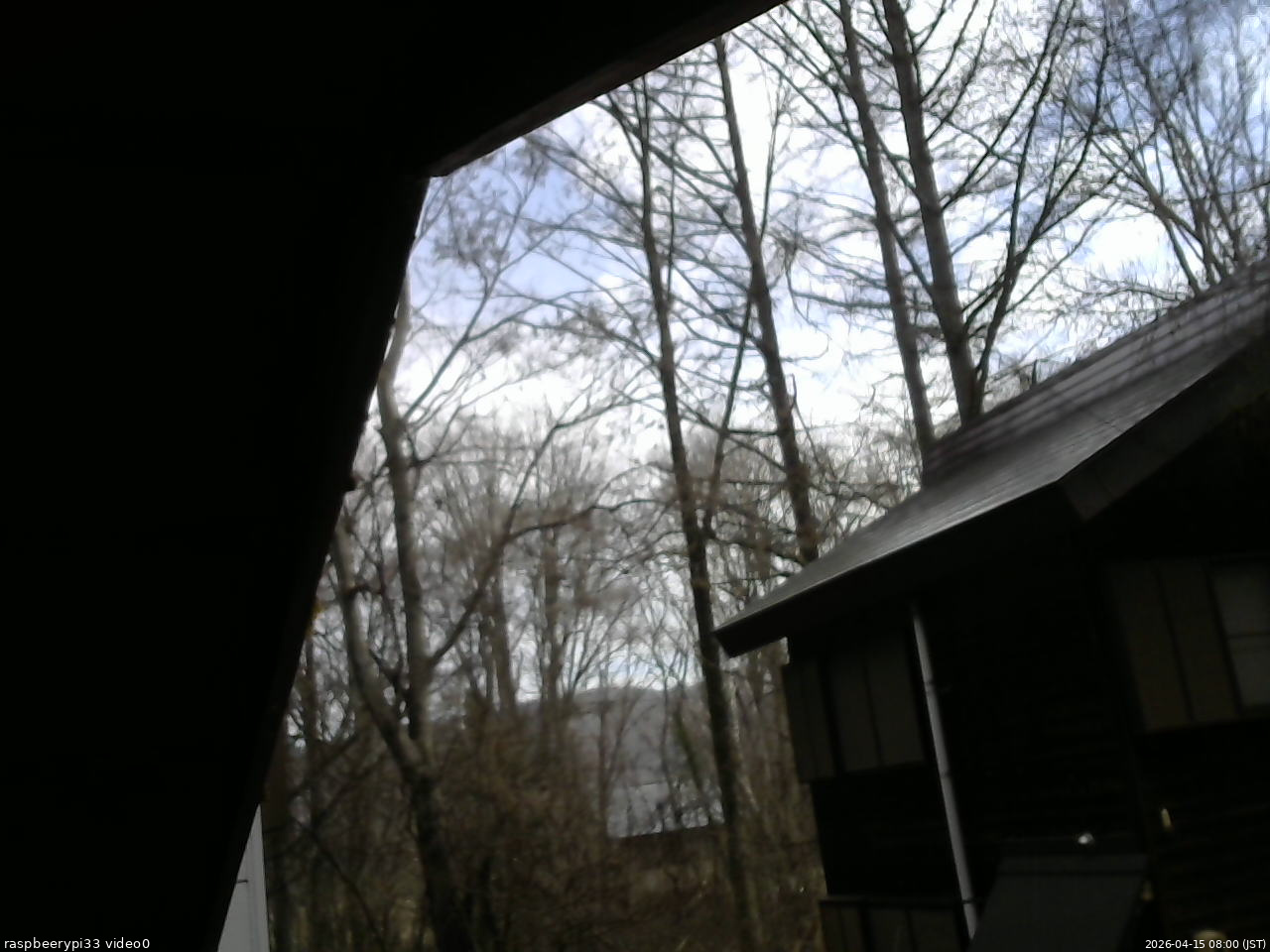 長野県菅平高原 ゆたか山荘 北側 2026/04/15 08:00