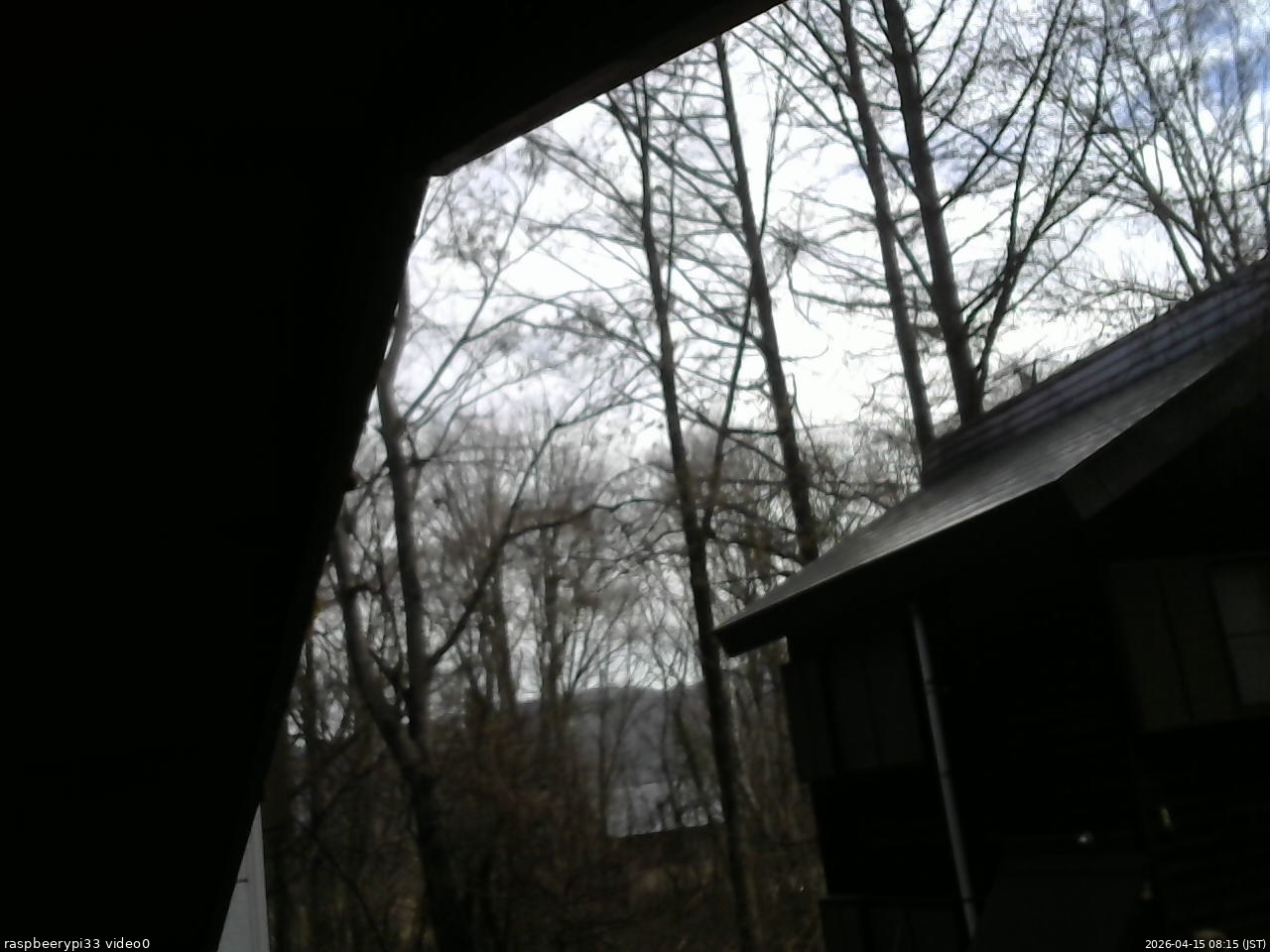 長野県菅平高原 ゆたか山荘 北側 2026/04/15 08:15