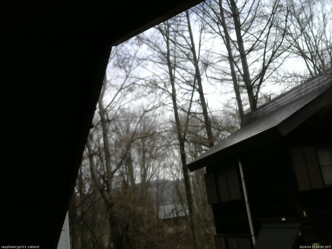 長野県菅平高原 ゆたか山荘 北側 2026/04/15 08:45