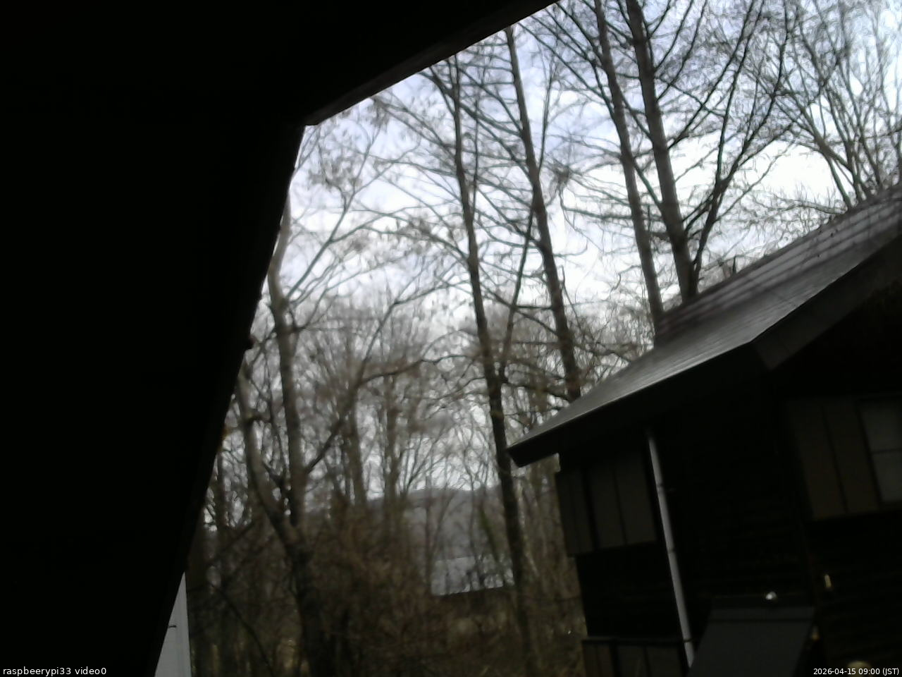 長野県菅平高原 ゆたか山荘 北側 2026/04/15 09:00