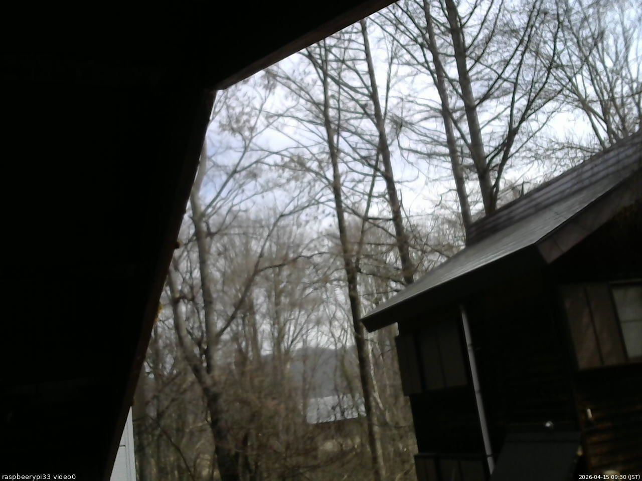 長野県菅平高原 ゆたか山荘 北側 2026/04/15 09:30