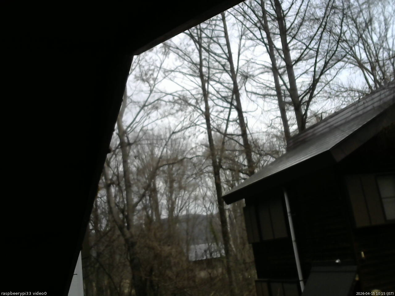 長野県菅平高原 ゆたか山荘 北側 2026/04/15 10:15