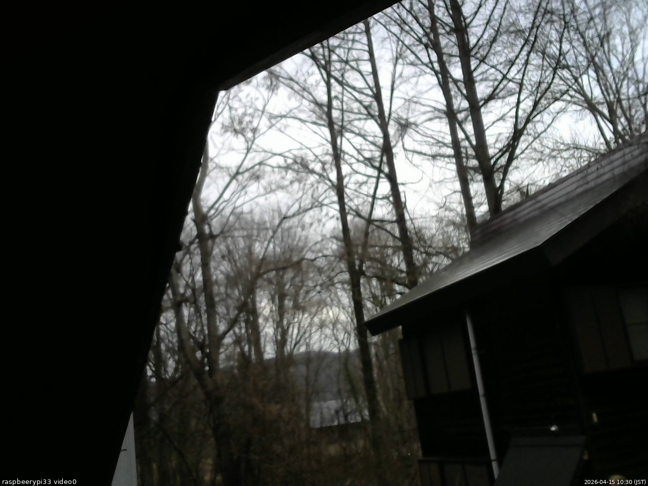 長野県菅平高原 ゆたか山荘 北側 2026/04/15 10:30