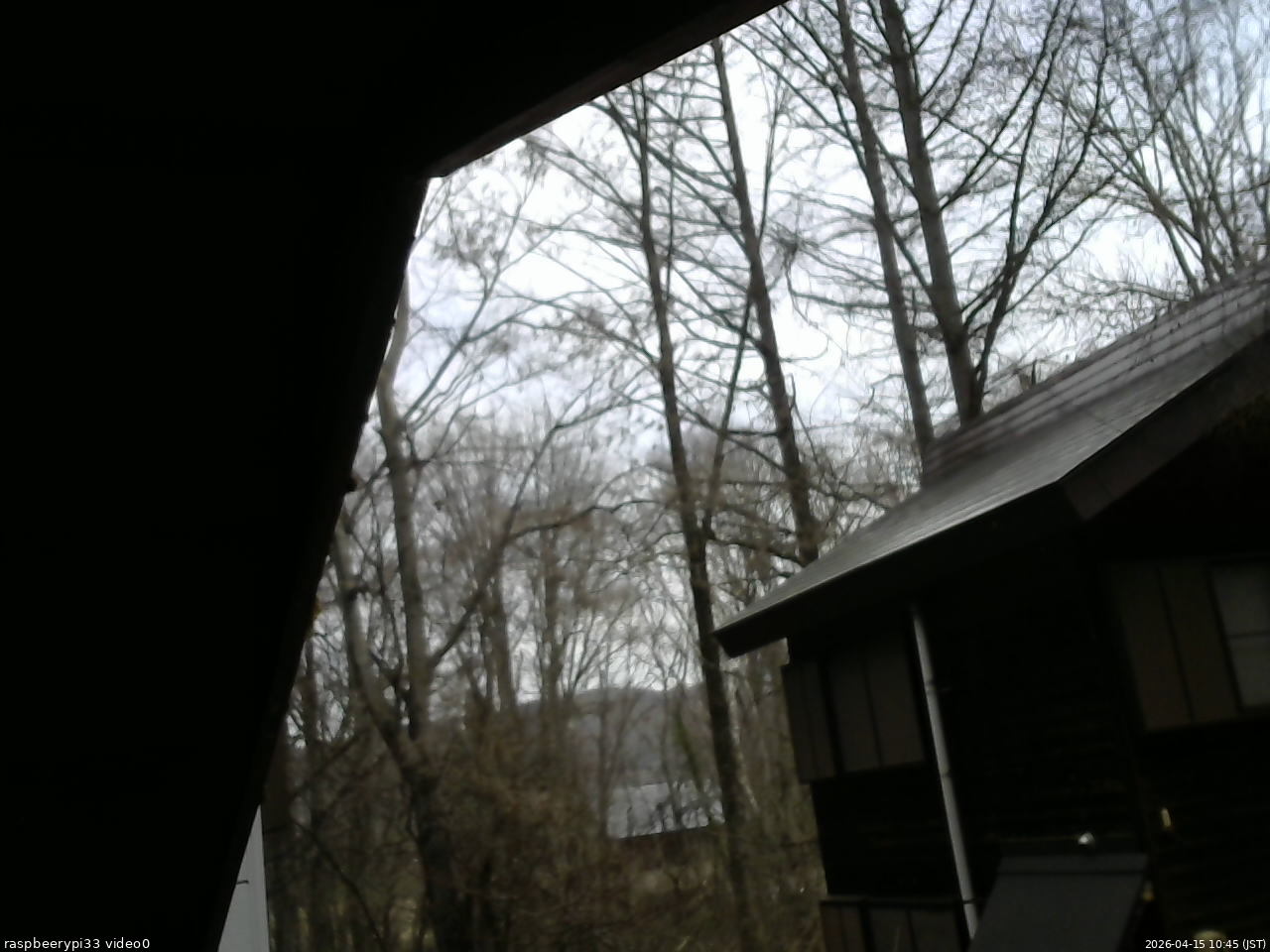 長野県菅平高原 ゆたか山荘 北側 2026/04/15 10:45