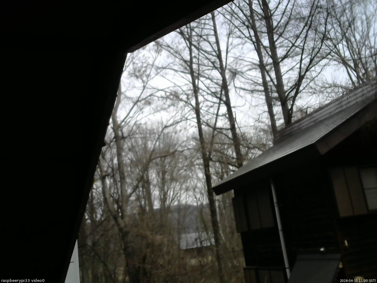 長野県菅平高原 ゆたか山荘 北側 2026/04/15 11:00