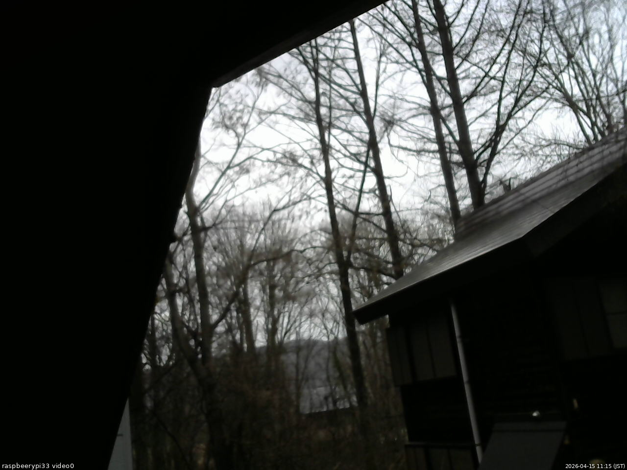 長野県菅平高原 ゆたか山荘 北側 2026/04/15 11:15