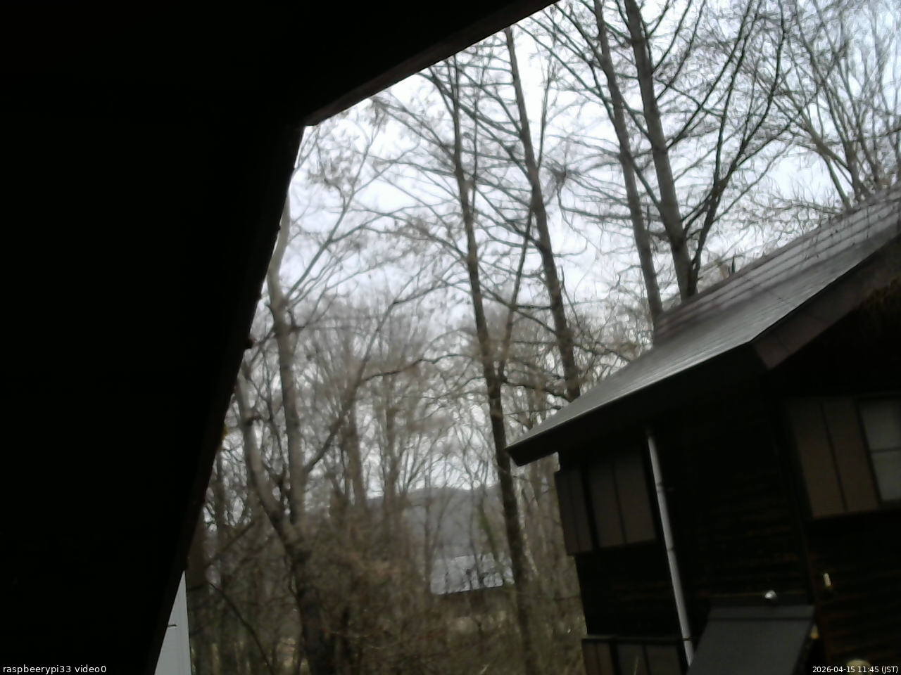 長野県菅平高原 ゆたか山荘 北側 2026/04/15 11:45