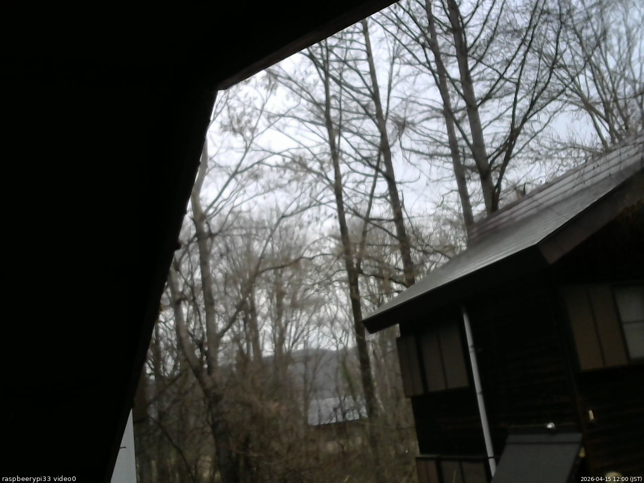 長野県菅平高原 ゆたか山荘 北側 2026/04/15 12:00