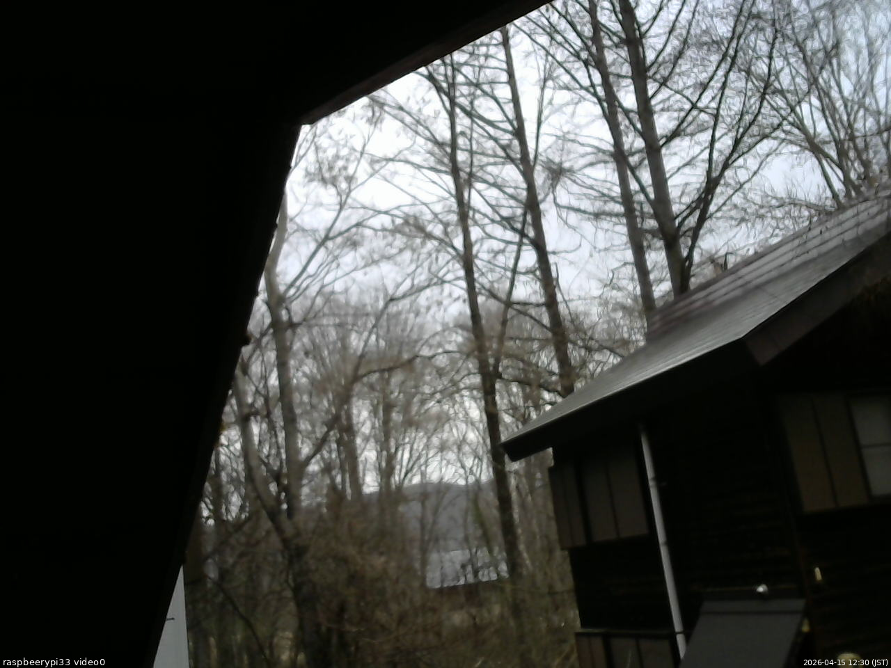 長野県菅平高原 ゆたか山荘 北側 2026/04/15 12:30