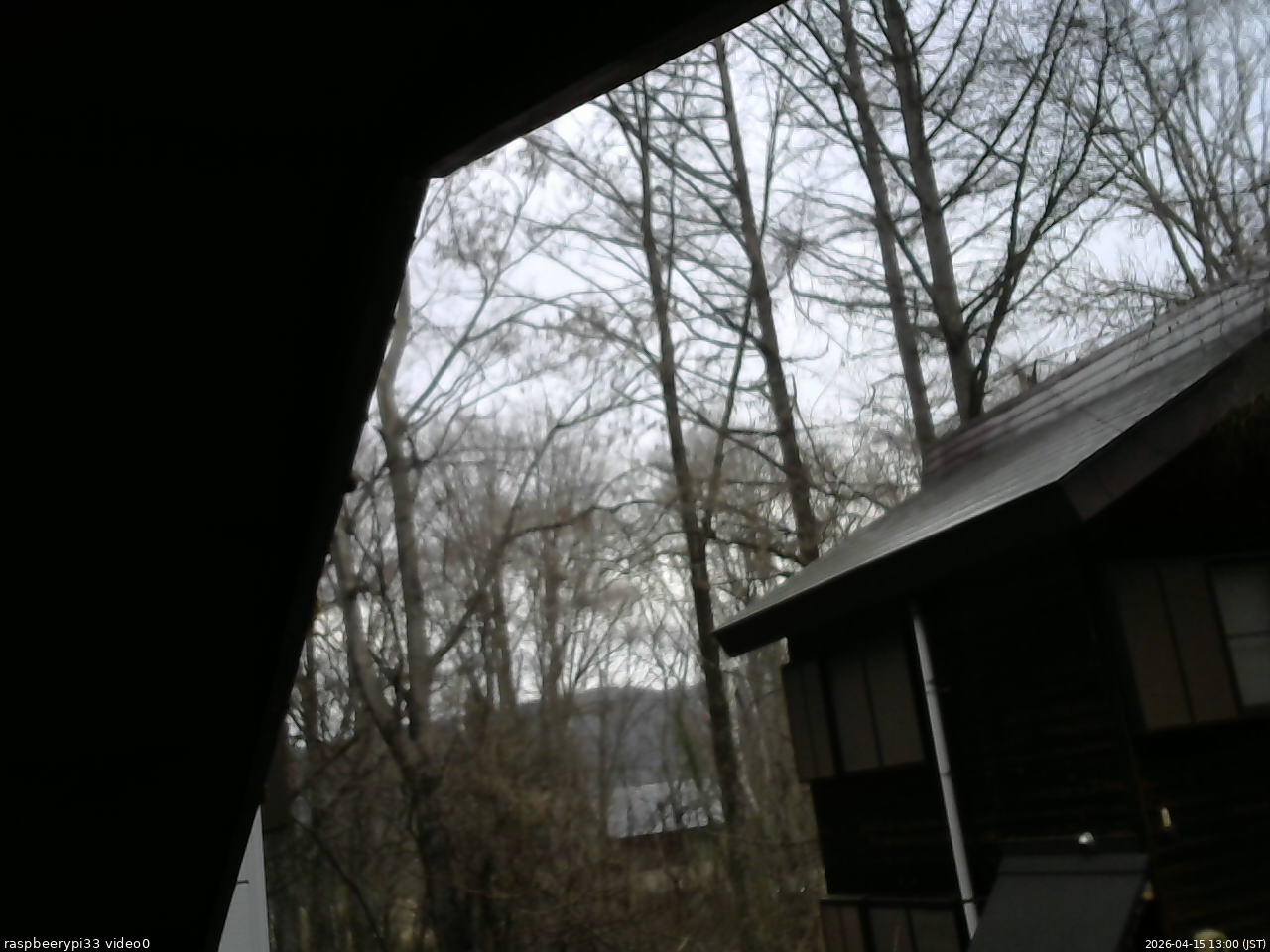 長野県菅平高原 ゆたか山荘 北側 2026/04/15 13:00